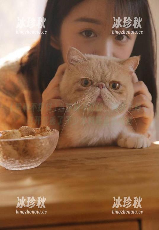 黑料不打烊 当黑料不打烊,网页上每个点开都丢了不少大料简直想掩脸